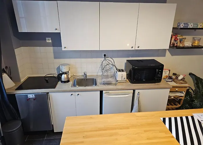 A Modern Appartment, Bright And Calm شقة باريس